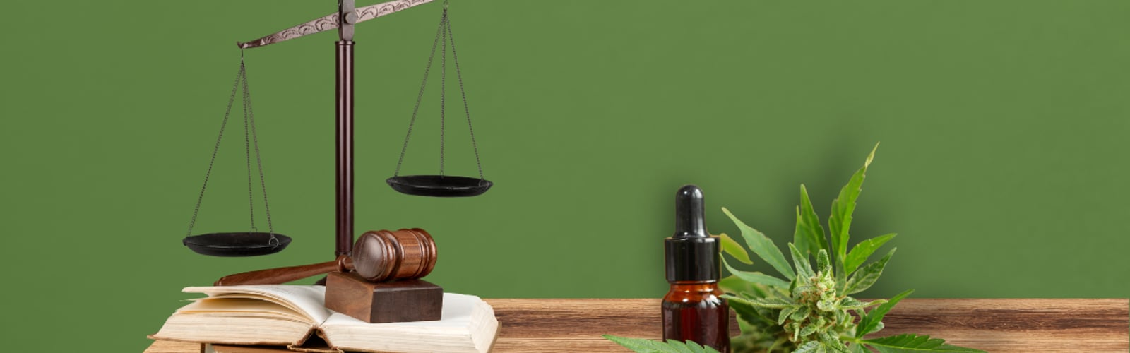 Cannabis-Onlinehandel 2026: Die neue Rechtslage